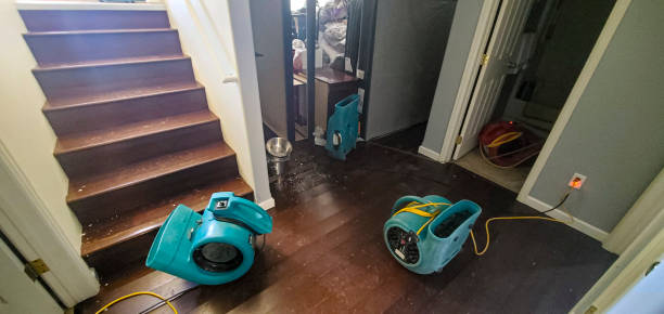 Best Fire Damage Restoration  in Berlin, MD