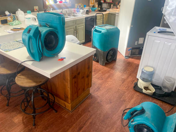 Best Water damage cleanup near me  in Berlin, MD
