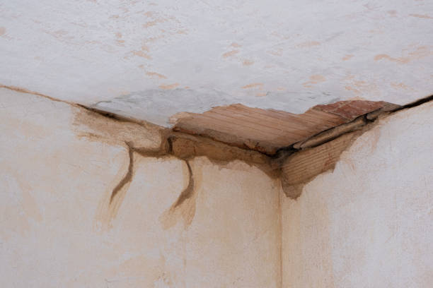 Best Professional water damage repair  in Berlin, MD