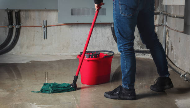 Best Carpet water damage restoration  in Berlin, MD