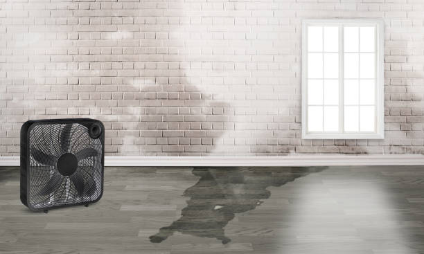 Sewage cleanup and water damage restoration in MD