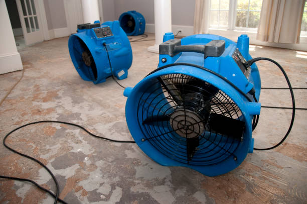 Best 24-hour water damage restoration  in Berlin, MD