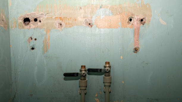 Best Fire Damage Restoration  in Berlin, MD