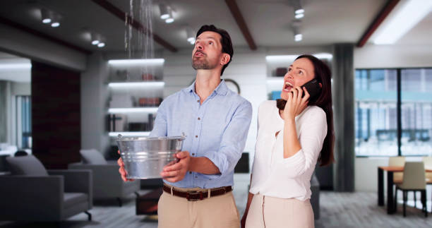 Best Flood restoration services  in Berlin, MD